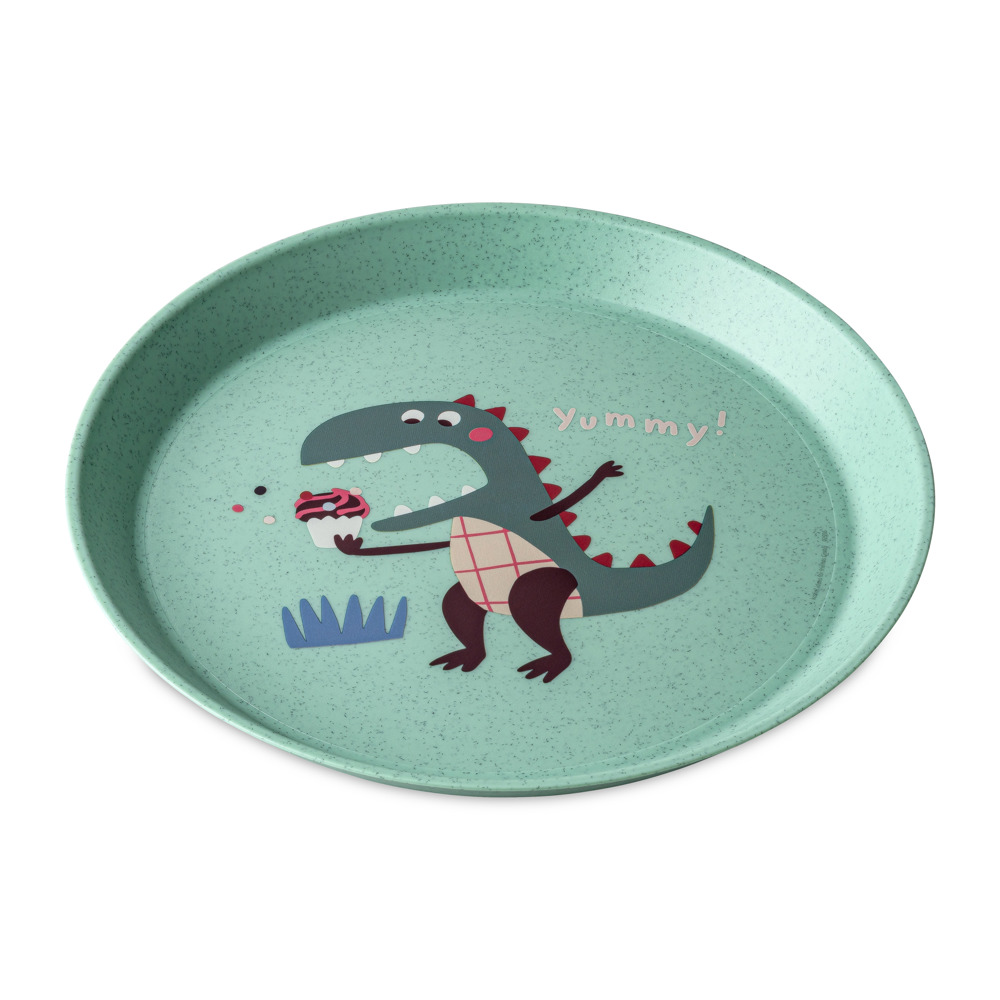 CONNECT PLATE REX