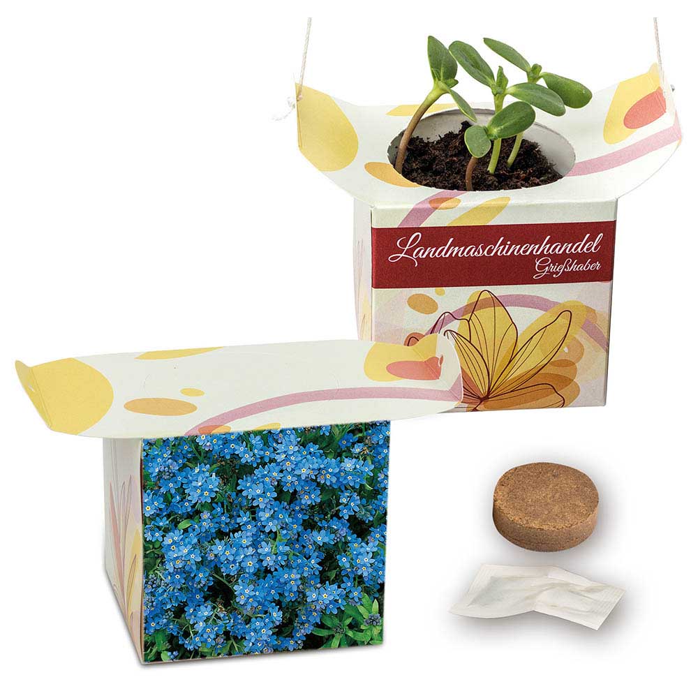 Blumenampel - individuell