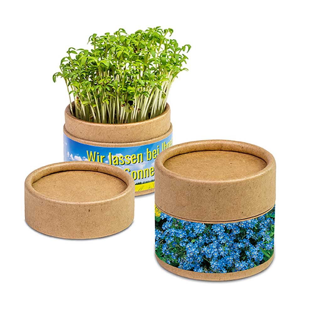 Pflanz-Cup mit Samen - individuell