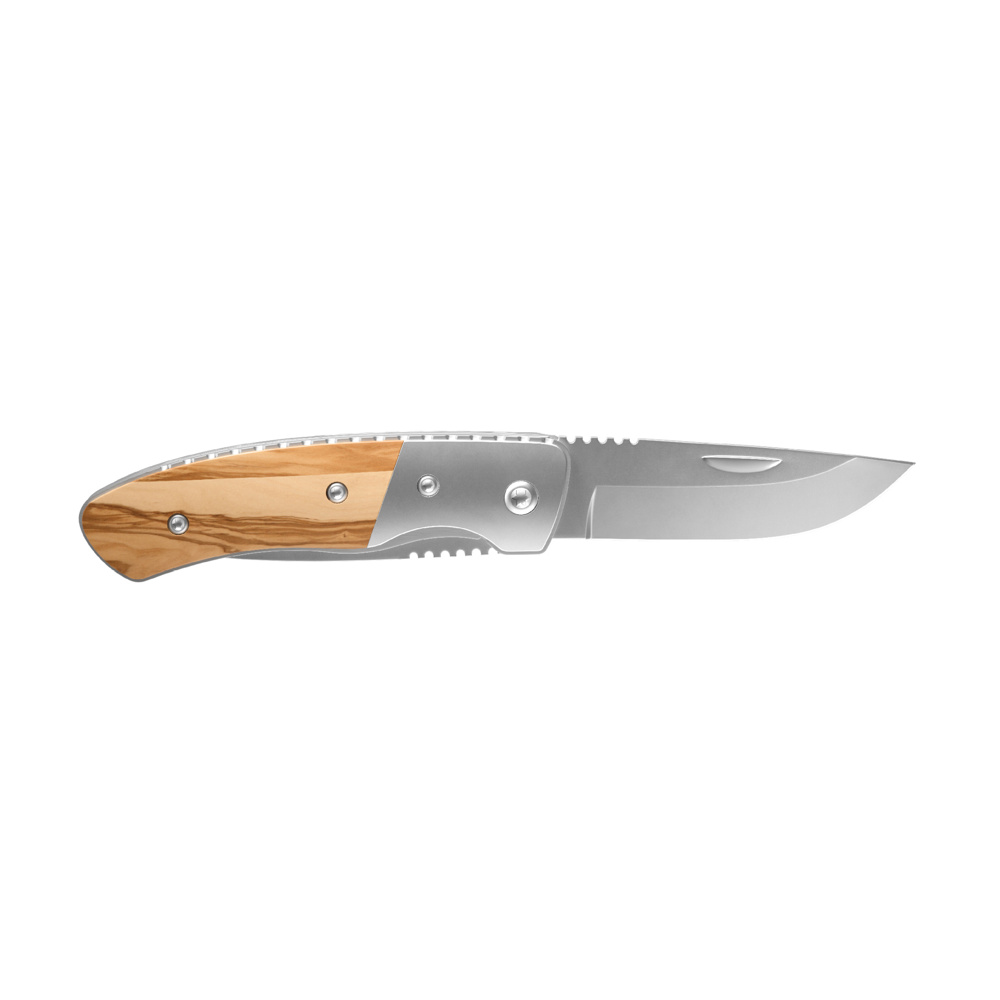 RICHARTZ® LEO picknick olive