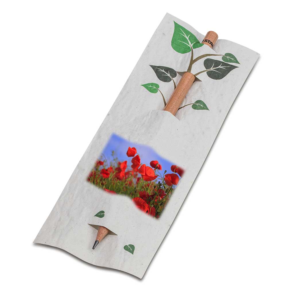 Bleistift im Samenpapieretui - individuell