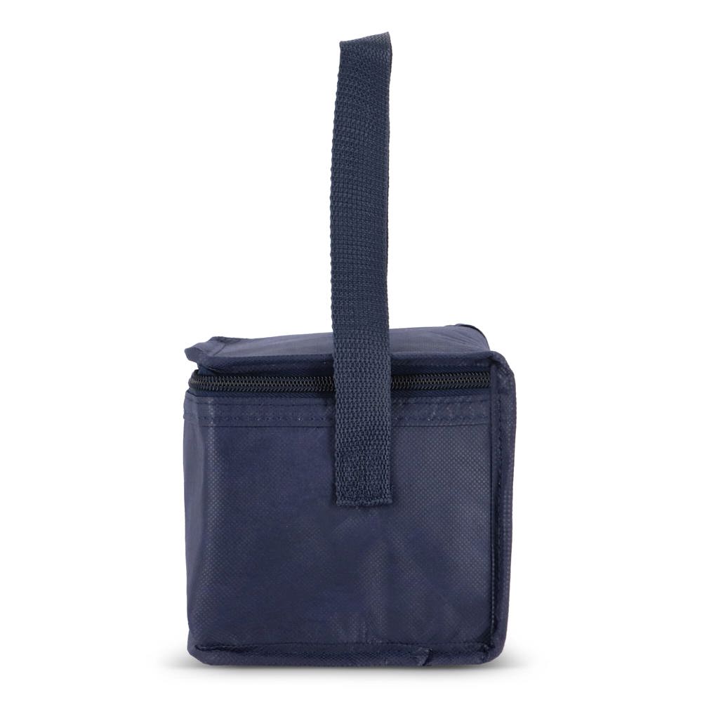 R-PET 6 Dosen-Kühltasche Non Woven 20x 13 x 12,5cm 75g/m²