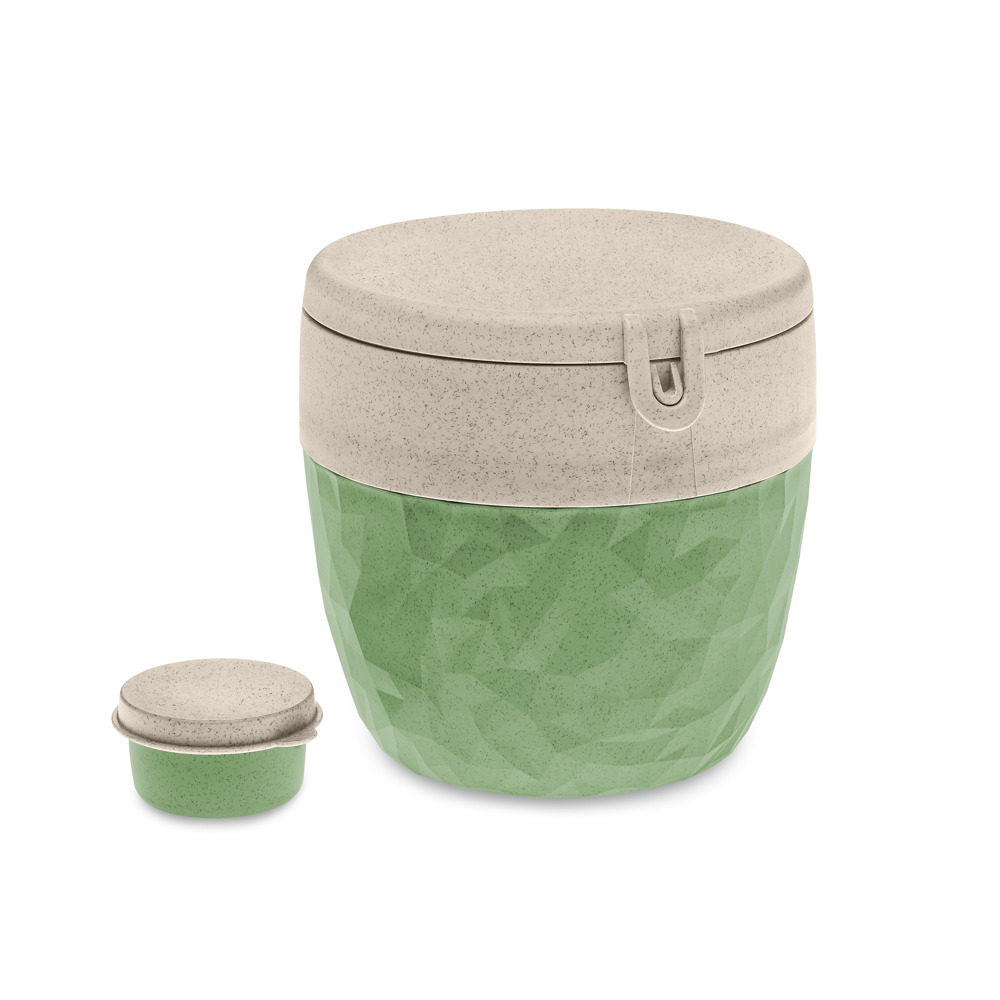 BENTOBOX L - nature leaf green