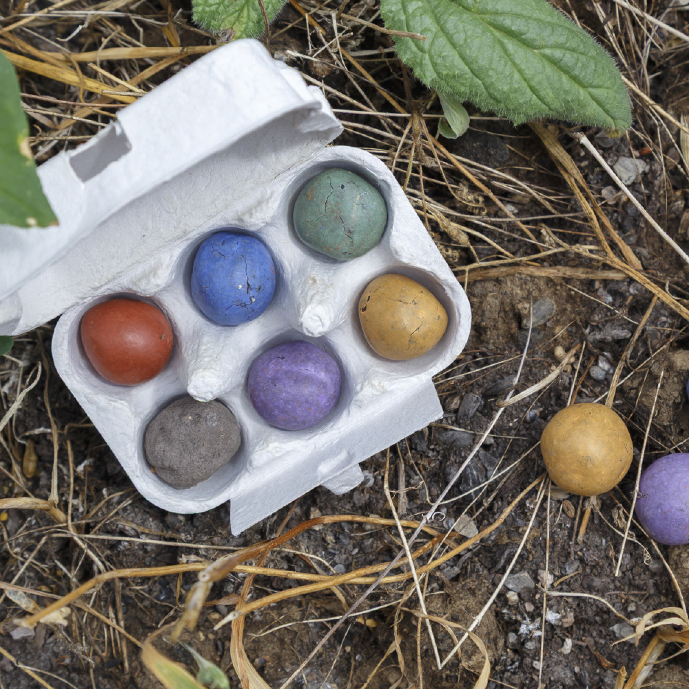 Samenkugeln 6er Karton – Kori