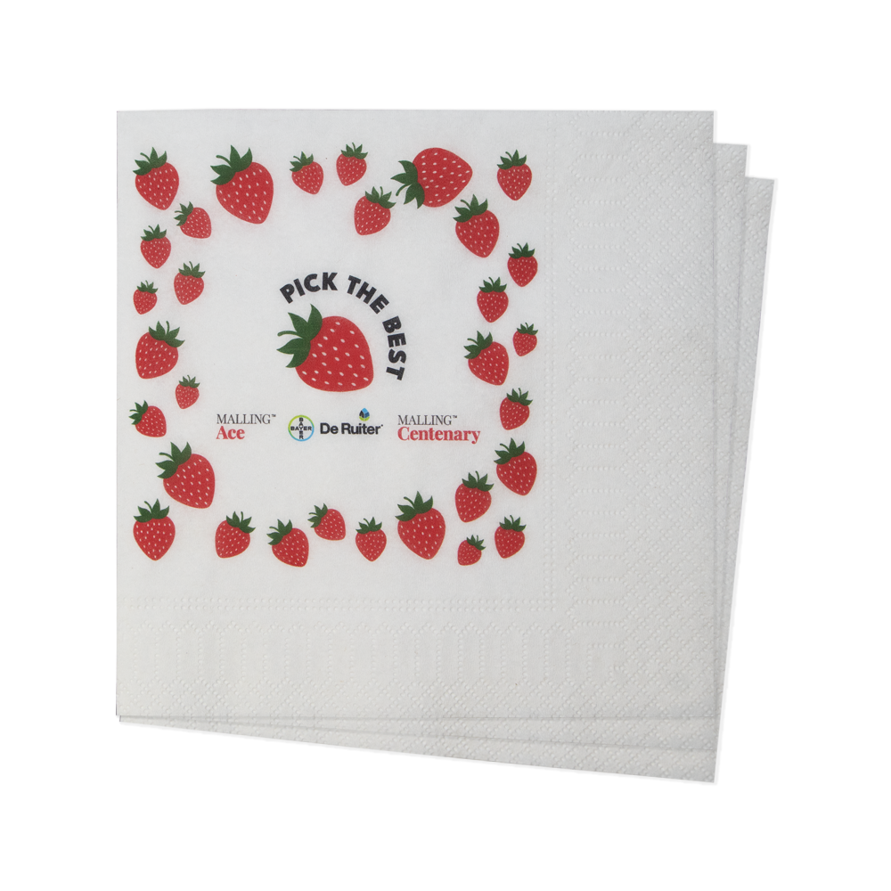Tissue 33 x 33 cm (16,5 x 16,5 cm) 1/4 Falz