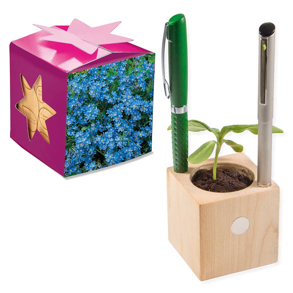 Pflanz-Holz Büro Star-Box mit Samen - individuell