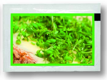 Samentütchen 80x55 mm