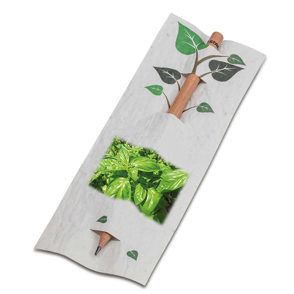 Bleistift im Samenpapieretui - Basilikum, Druck 4/0-c