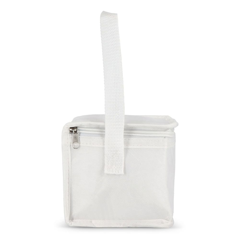 R-PET 6 Dosen-Kühltasche Non Woven 20x 13 x 12,5cm 75g/m²