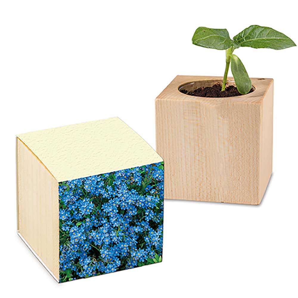Pflanz-Holz mit Samen (Graspapier-Banderole) - individuell