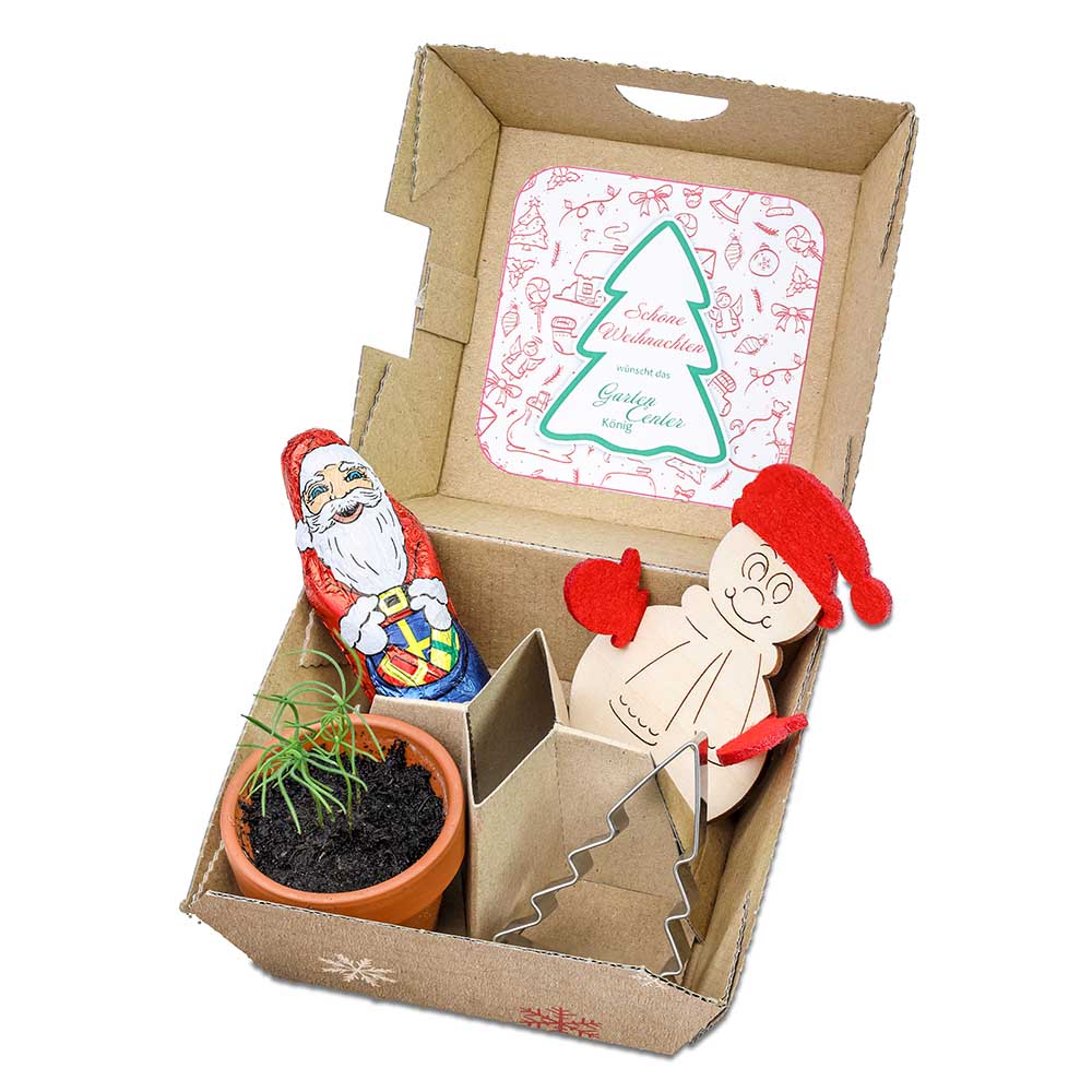 Geschenk-Set Xmas - V4 Tontöpfchen, Schoko-Nikolaus, Backförmchen Tannenbaum und Steckfigur Schneemann aus Holz-Filz