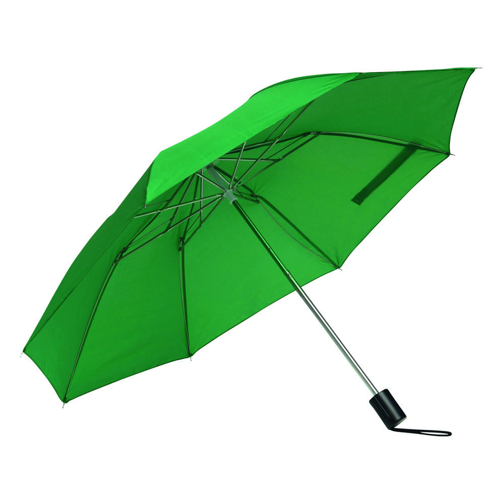 REGULAR - Taschenschirm - Grün