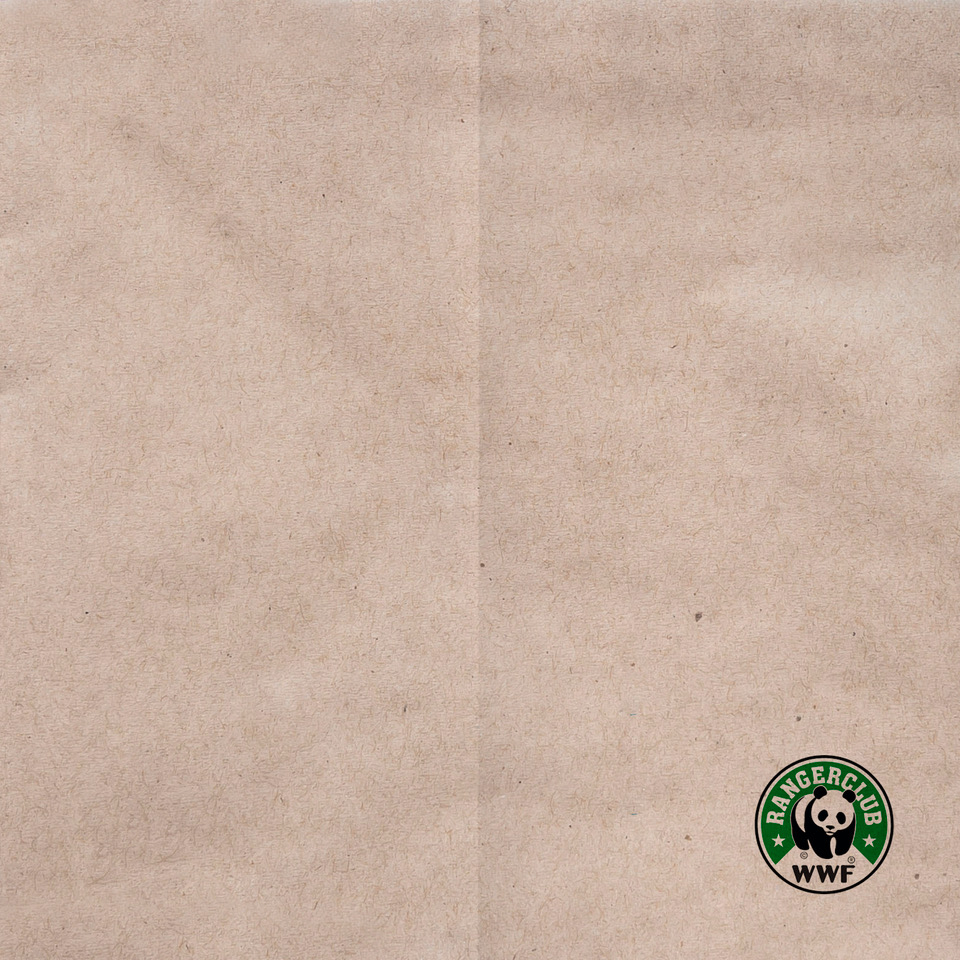 Serviettes 25x25 Recycled