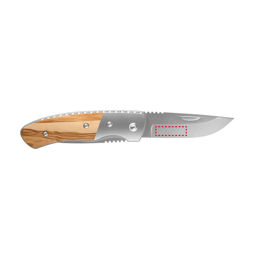 RICHARTZ® LEO picknick olive