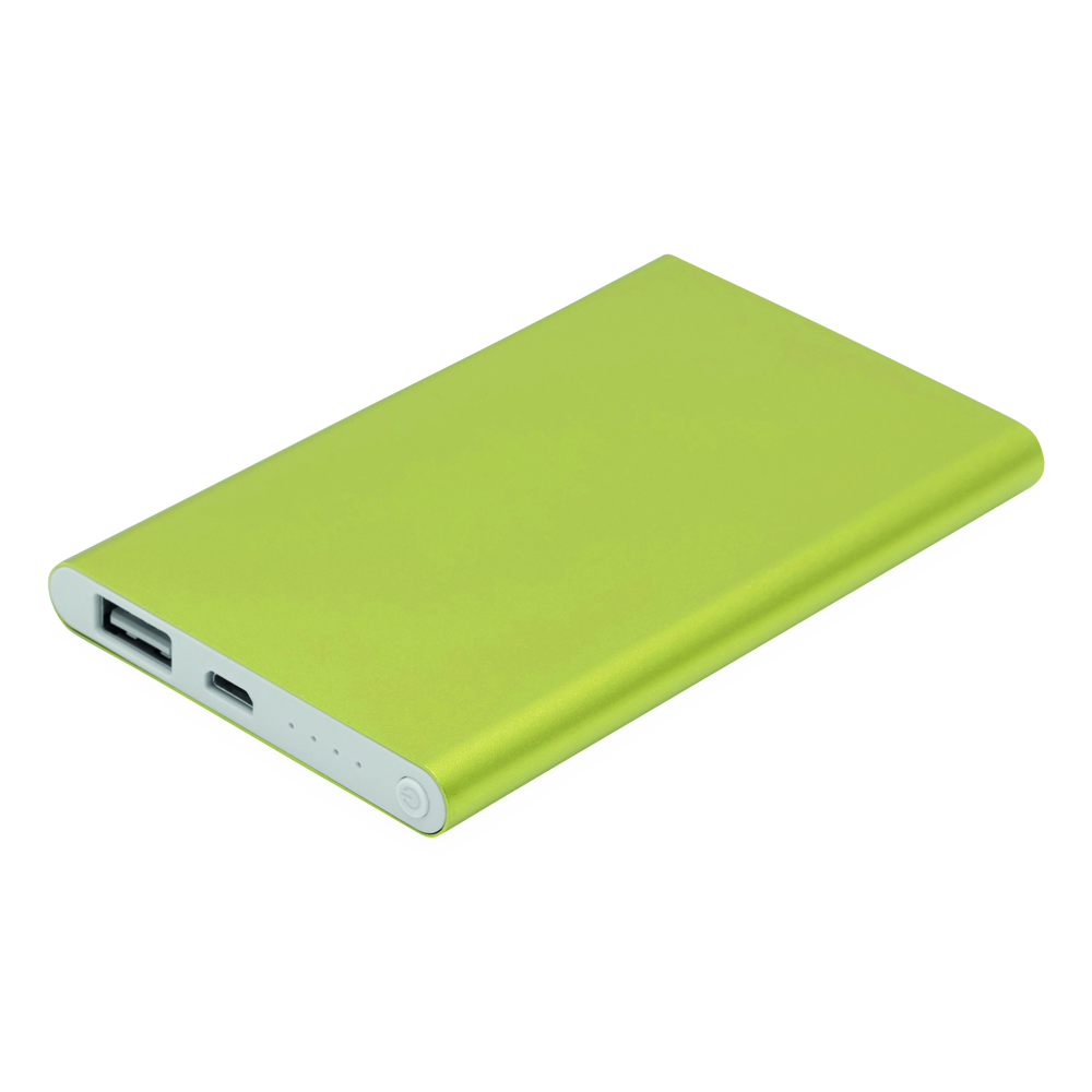 ENDURANCE EVOLUTION - Powerbank - Grün