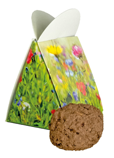 Blumige Überraschung, bunte Blumenmischung, 1-4 c Digitaldruck inklusive