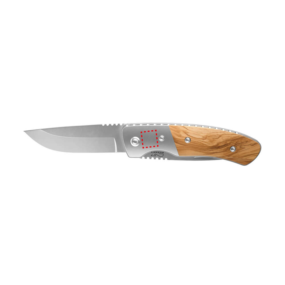 RICHARTZ® LEO picknick olive