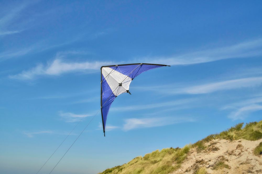 210T Polyester-Drachen Lirien