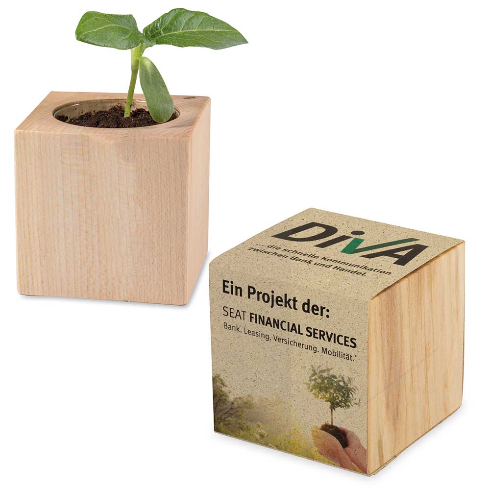 Pflanz-Holz mit Samen (Graspapier-Banderole)