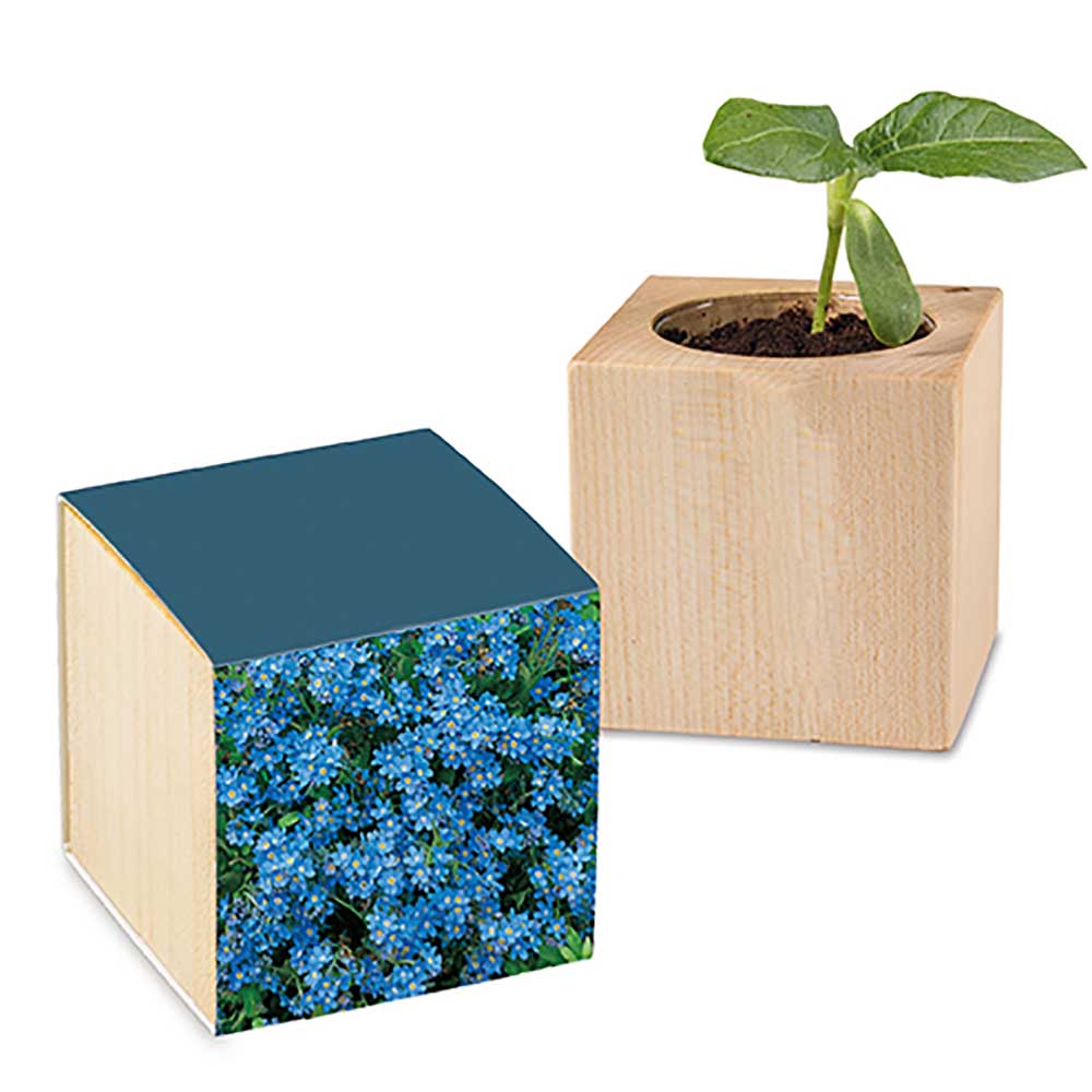 Pflanz-Holz mit Samen - individuell