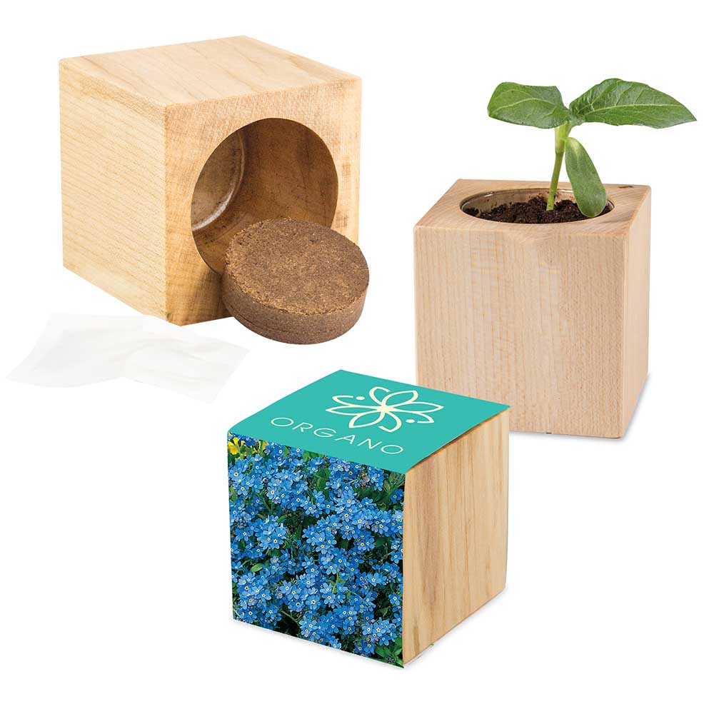 Pflanz-Holz Maxi mit Samen - individuell